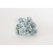 Роза Кудрявая 2 см Голубые 2-х тоновые, 5 шт.